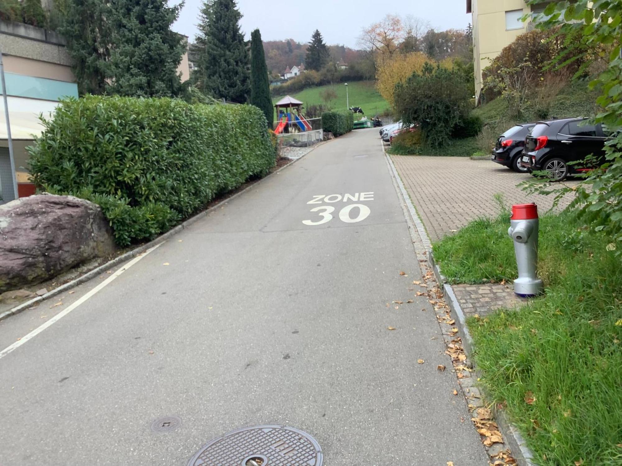 Chambre Spacieuse Et Confortable Avec Ecran Plat Oetwil an Der Limmat Esterno foto
